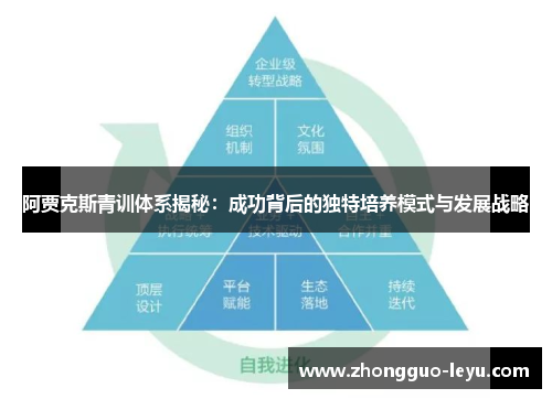 阿贾克斯青训体系揭秘：成功背后的独特培养模式与发展战略